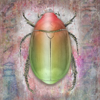scarabée peinture digital